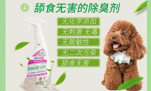 寵物消毒守護戰(zhàn) 十大產(chǎn)品排行榜深度解析，拜耳與科萊施王牌對決