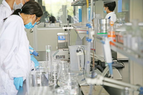 專業交流促發展，行業攜手筑安全——廣東省兩大行業協會蒞臨富諾健康生產工廠參觀指導